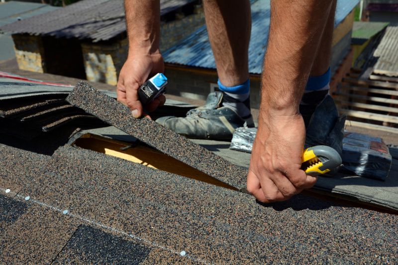 Professional Asphalt Roof Repair 4