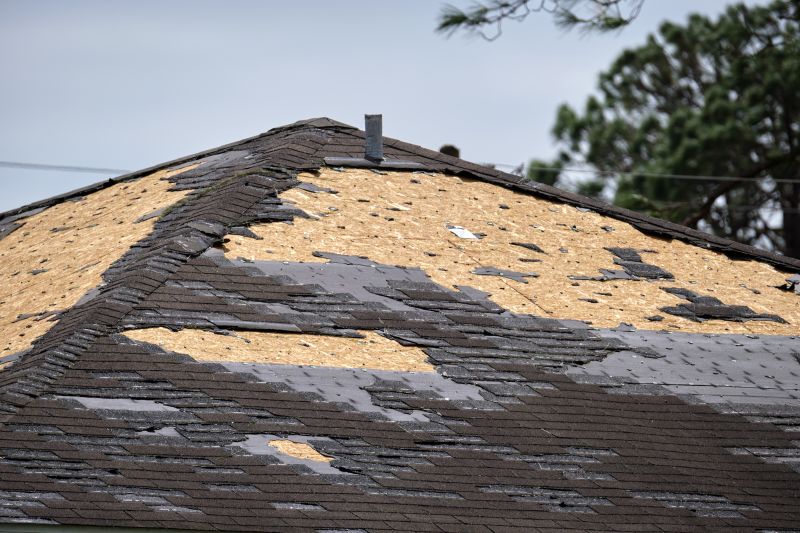 Asphalt Roof Repair Image 4