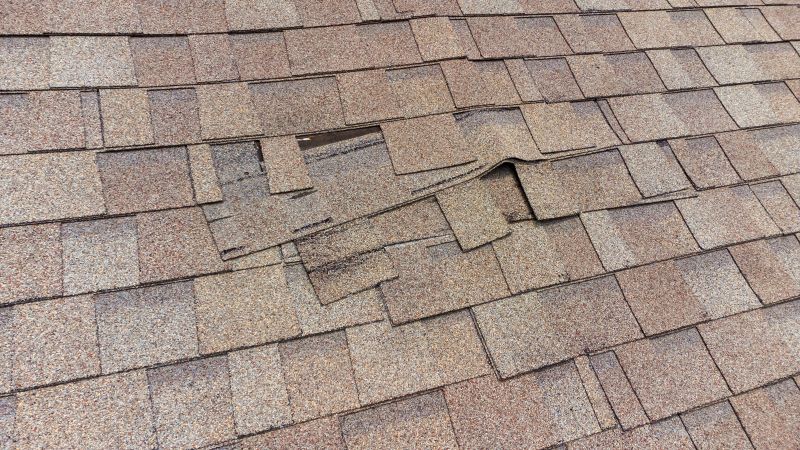 Professional Asphalt Shingle Repair 2